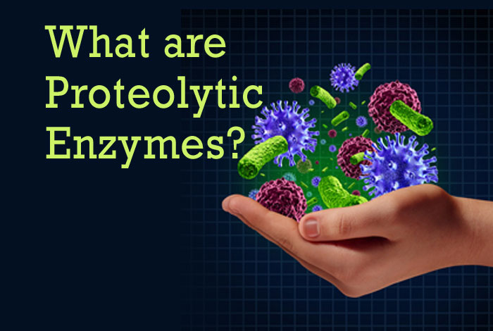 Proteolytic Enzymes